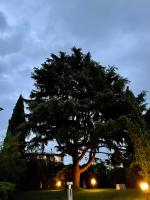 Villa Caffetto Dépendance nei pressi del Lago di Garda - B&B Calcinato