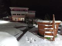 Pensiunea Alessia - Chambres d’hôtes Lupeni