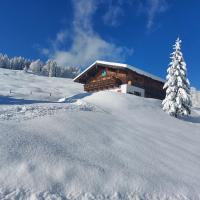 B&B Hallein - Haus Obweg - Postalm - Bed and Breakfast Hallein