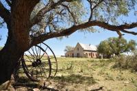Sneeuberg Nature Reserve - Bed and Breakfast Nieu-Bethesda