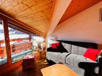 Les Saisies - Grand Studio Cabine 4 pers avec balcon sud - FR-1-293-117 - B&B