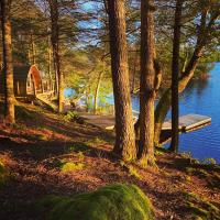 Owl Cabin - Forest Retreat nearby Lake - not on waterfront - Chambres d’hôtes