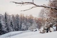 Waldjuwel Mostviertel - Bed and Breakfast Allhartsberg