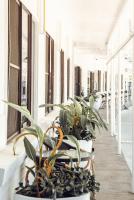 Motel Maclean - B&B Maclean