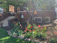 Oak Park Beauties - Tree Lined Streets - Walkable - B&B Oak Park