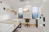 Studio with Sofa Bed
