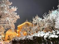 InnsbruckHomes at Botanical Garden - B&B Innsbruck