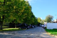 Charmantes Studio in Messe-Nähe mit Parkplatz - Ferienwohnung