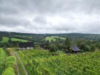 Utopia Dom przy winnicy - Ferienwohnung Nowica