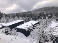 Nest in Gărâna - Cardinal House - B&B Gărâna