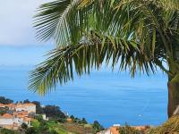 B&B Arco da Calheta - Zhanna ´s Hideaway in Calheta - Bed and Breakfast Arco da Calheta