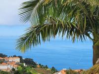 Boutique Chalet in Calheta - B&B Arco da Calheta