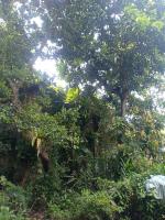 Budget Double or Twin Room