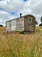 B&B Truro - Private and peaceful stay in a Luxury Shepherds Hut near Truro - Bed and Breakfast Truro