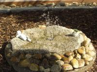 Pension Zum Köhler - Ferienwohnung Schönwald im Schwarzwald