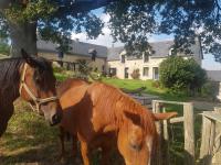 Gîte de charme en pleine nature - B&B Saint-Jean-la-Poterie