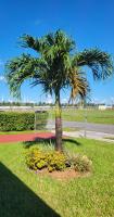BOOK ME, 3mins Hard Rock Stadium - B&B
