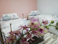 B&B Valladolid - CONFORTABLE PISO ACUARELA JUNTO CENTRO CIUDAD - Bed and Breakfast Valladolid