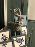 Next To The Beach - North Berwick - B&B