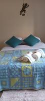 Chambre Simple avec Salle de Bains Commune