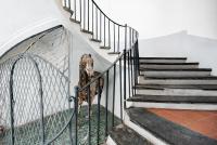 Nilos Flat Naples Historical Center - Bed and Breakfast Napels