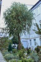 Old town Bratislava 1bdr private parking - B&B