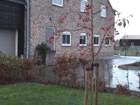 Apartment - Erdgeschoss