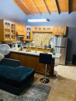 Blissett Apt, Your Jamaican Home - B&B Kingston