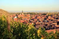 Les Appartements Manala - Turckheim - Ferienwohnung Turckheim