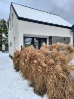 Sosnowe Zacisze - Bed and Breakfast Sasino