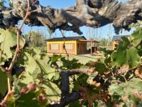 Cabañas Mora - Bed and Breakfast San Rafael