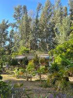 Bungalow mit Gartenblick