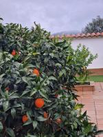 La casa del patio ATBA00260 - Bed and Breakfast
