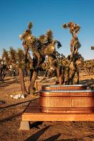 The Tiny Bungalow: Joshua Tree - B&B Yucca Valley
