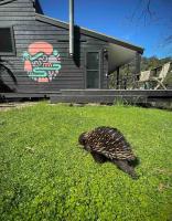 PencilWood Farm - Berry rainforest sanctuary - Ferienwohnung
