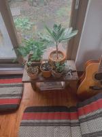 Etagenbett im Schlafsaal für Frauen 