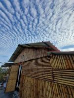 Alohi The terrace Homestay - B&B Tezpur