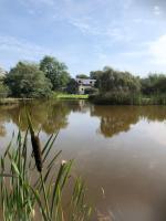 B&B Cross Inn - Rhedyn - Cosy Fishing Lodge Near Aberaeron - Bed and Breakfast Cross Inn