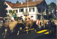 Park - Ferienwohnung Heiden AR