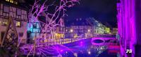 NEW ! Vue Petite Venise, Place to be - Parking - B&B Colmar
