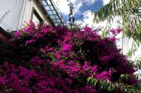 Anastasio Gutman House - B&B Bogotá