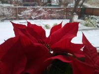 Casa con 2 Camere da Letto