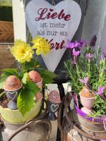 Bauernhof Sonnenhuab - B&B Sankt Veit im Pongau