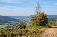 Charmant appartement 3* au cœur des Vosges (PMR) - Chambres d'hôtes Vecoux
