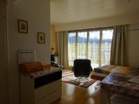 Apartment with Lake View