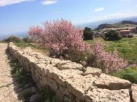 Iudica charme - B&B Castel di Judica