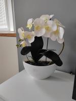 Apartament Paderewskiego - B&B Kielce