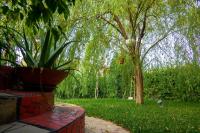 Jardín de los Sentidos - B&B Colà
