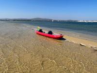 AS CEGONHAS - ALOJAMENTo LOCAL - B&B Olhão