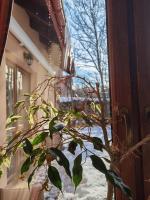 Apartment - Erdgeschoss